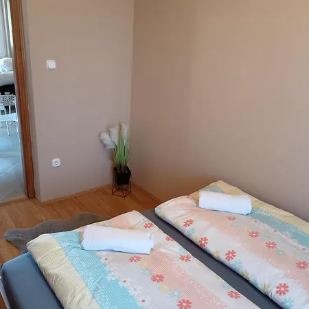 My Tulipan Hajdúszoboszló