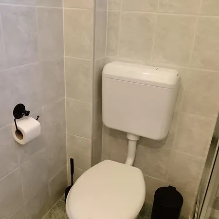My Tulipan Hajdúszoboszló