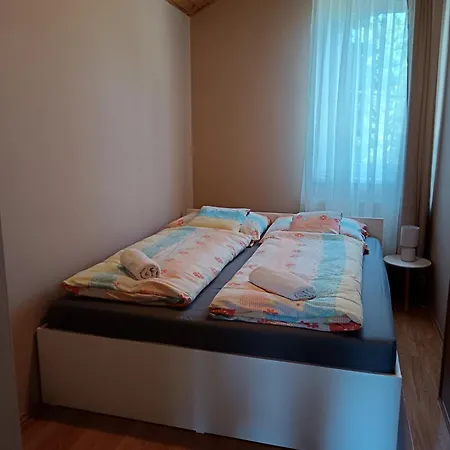 My Tulipan * Hajdúszoboszló